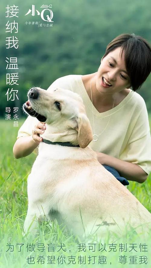 办理韩国京仁教育大学文凭毕业证